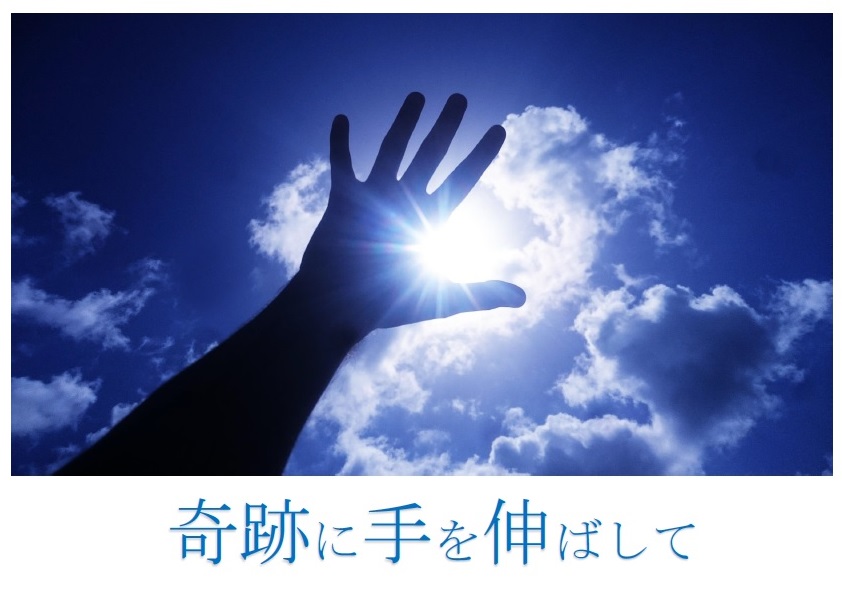 与野南図書館　２０１９年１２月　一般展示ポスター「奇跡に手を伸ばして」